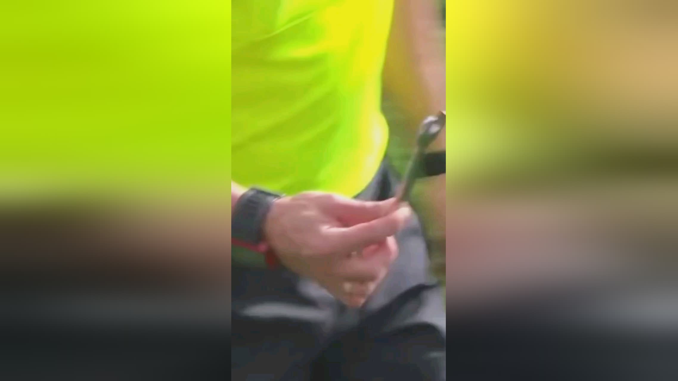 们见证了