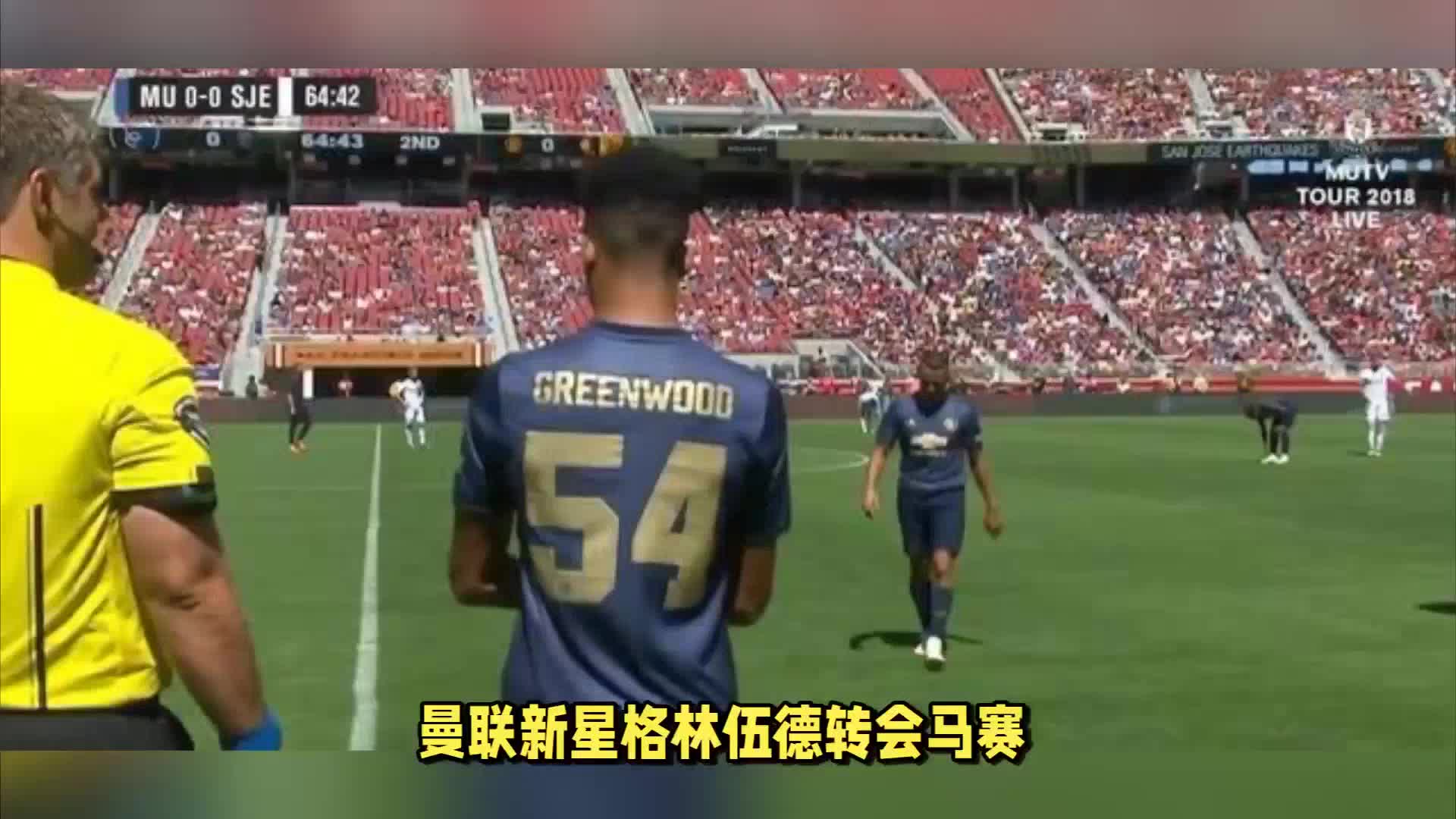 的球